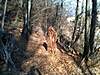 Clicca sull'immagine per ingrandirla

Nome:   401039_3190668008587_697568758_n.jpg&nbsp;
Visite: 96&nbsp;
Dimensione:   24.8 KB&nbsp;
ID: 124277