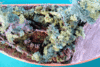 Clicca sull'immagine per ingrandirla

Nome:   diorama1.gif 
Visite: 29 
Dimensione:   105.1 KB 
ID: 104876