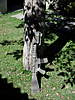Clicca sull'immagine per ingrandirla

Nome:   002.jpg 
Visite: 626 
Dimensione:   164.2 KB 
ID: 106054