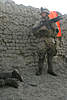 Clicca sull'immagine per ingrandirla

Nome:   102356di4.jpg 
Visite: 84 
Dimensione:   59.6 KB 
ID: 107298