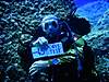 Clicca sull'immagine per ingrandirla

Nome:   Oris_Col_Moschin_Test-600X400.jpg 
Visite: 163 
Dimensione:   77.6 KB 
ID: 109349