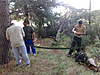 Clicca sull'immagine per ingrandirla

Nome:   081020111447.jpg 
Visite: 17 
Dimensione:   199.1 KB 
ID: 109853