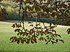 Clicca sull'immagine per ingrandirla

Nome:   301660_2341545071364_1632060656_2359240_2027222086_n.jpg 
Visite: 51 
Dimensione:   190.9 KB 
ID: 110785