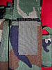 Clicca sull'immagine per ingrandirla

Nome:   DSCN3556.jpg 
Visite: 22 
Dimensione:   194.5 KB 
ID: 116950
