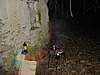 Clicca sull'immagine per ingrandirla

Nome:   382800_316300031723073_100000292351421_1224821_833873143_n.jpg 
Visite: 27 
Dimensione:   81.3 KB 
ID: 117850