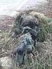 Clicca sull'immagine per ingrandirla

Nome:   378171_2342302964580_1460156744_2720429_1574229687_n.jpg 
Visite: 99 
Dimensione:   179.1 KB 
ID: 118684