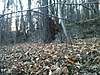 Clicca sull'immagine per ingrandirla

Nome:   381609_3071919359945_1322487867_33277620_1847763641_n.jpg&nbsp;
Visite: 33&nbsp;
Dimensione:   25.5 KB&nbsp;
ID: 122013