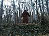 Clicca sull'immagine per ingrandirla

Nome:   387609_3071917319894_1322487867_33277618_1090751028_n.jpg&nbsp;
Visite: 29&nbsp;
Dimensione:   24.3 KB&nbsp;
ID: 122014