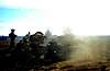 Clicca sull'immagine per ingrandirla

Nome:   510676_q75.jpg 
Visite: 250 
Dimensione:   12.0 KB 
ID: 122985