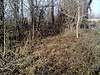 Clicca sull'immagine per ingrandirla

Nome:   396044_2753501673635_1140453277_32445083_2130459679_n.jpg 
Visite: 260 
Dimensione:   193.1 KB 
ID: 123991
