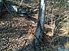 Clicca sull'immagine per ingrandirla

Nome:   396675_3190674168741_1322487867_33323401_526096836_n.jpg 
Visite: 227 
Dimensione:   27.9 KB 
ID: 124275