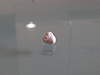 Clicca sull'immagine per ingrandirla

Nome:   Foto1634.jpg&nbsp;
Visite: 261&nbsp;
Dimensione:   25.0 KB&nbsp;
ID: 138060