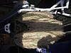 Clicca sull'immagine per ingrandirla

Nome:   DSCF1311.jpg 
Visite: 22 
Dimensione:   145.3 KB 
ID: 143970