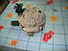 Clicca sull'immagine per ingrandirla

Nome:   DSCN0234.jpg 
Visite: 59 
Dimensione:   96.0 KB 
ID: 147709