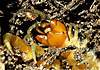 Clicca sull'immagine per ingrandirla

Nome:   image-3656458691.jpg 
Visite: 37 
Dimensione:   91.4 KB 
ID: 151352