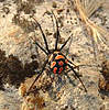 Clicca sull'immagine per ingrandirla

Nome:   image-2099669867.jpg 
Visite: 23 
Dimensione:   47.0 KB 
ID: 151354