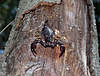 Clicca sull'immagine per ingrandirla

Nome:   image-1859473505.jpg 
Visite: 25 
Dimensione:   37.8 KB 
ID: 151357