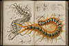 Clicca sull'immagine per ingrandirla

Nome:   image-2206922613.jpg 
Visite: 34 
Dimensione:   36.7 KB 
ID: 152158