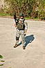 Clicca sull'immagine per ingrandirla

Nome:   577109_284718384963559_1751438730_n.jpg 
Visite: 419 
Dimensione:   150.5 KB 
ID: 165931