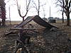 Clicca sull'immagine per ingrandirla

Nome:   DSCN0242.jpg 
Visite: 31 
Dimensione:   196.8 KB 
ID: 169138