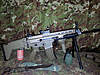 scar forum 1