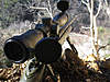 Clicca sull'immagine per ingrandirla

Nome:   m24-ca-9-wood.jpg 
Visite: 136 
Dimensione:   101.2 KB 
ID: 186643
