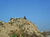 Clicca sull'immagine per ingrandirla

Nome:   58812_4477637340291_1475398784_n.jpg 
Visite: 42 
Dimensione:   62.7 KB 
ID: 188660