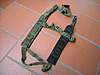 Clicca sull'immagine per ingrandirla

Nome:   DSCN0045.jpg 
Visite: 44 
Dimensione:   154.6 KB 
ID: 218129