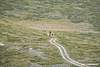 Clicca sull'immagine per ingrandirla

Nome:   The Begins - S&D_47.jpg 
Visite: 12 
Dimensione:   81.2 KB 
ID: 220955