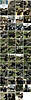 Clicca sull'immagine per ingrandirla

Nome:   G&G 2013.jpg 
Visite: 18 
Dimensione:   96.5 KB 
ID: 221719