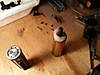 Clicca sull'immagine per ingrandirla

Nome:   20130928_173146.jpg 
Visite: 62 
Dimensione:   79.4 KB 
ID: 222352