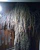 Clicca sull'immagine per ingrandirla

Nome:   IMG00153.jpg 
Visite: 74 
Dimensione:   97.3 KB 
ID: 23002