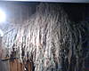 Clicca sull'immagine per ingrandirla

Nome:   IMG00154.jpg 
Visite: 64 
Dimensione:   95.7 KB 
ID: 23003