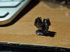 Clicca sull'immagine per ingrandirla

Nome:   DSC00016.jpg 
Visite: 28 
Dimensione:   88.1 KB 
ID: 261763