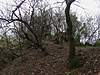 Clicca sull'immagine per ingrandirla

Nome:   10896856_683073695138772_5449575456215253951_n.jpg 
Visite: 13 
Dimensione:   171.9 KB 
ID: 269392