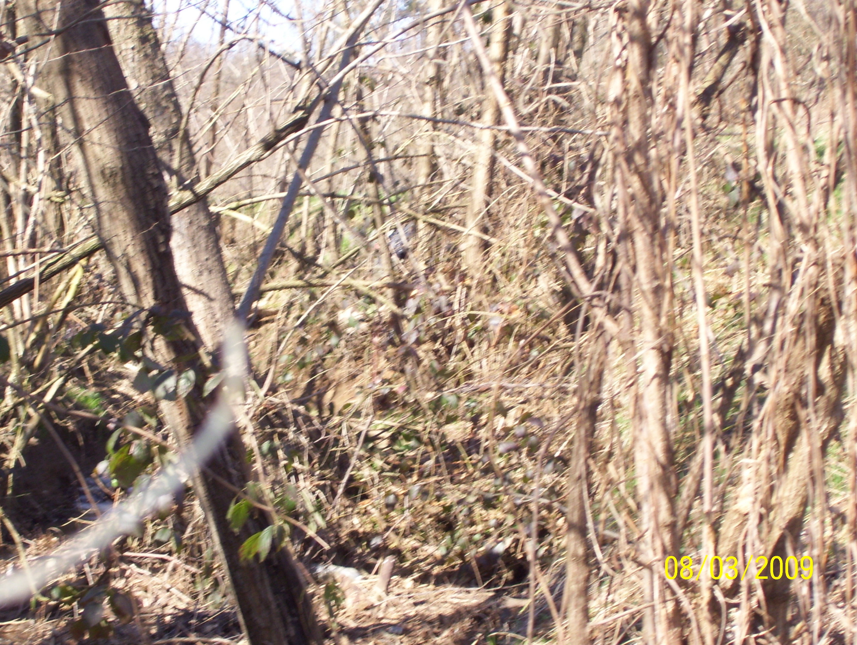  laggi,da qualche parte...