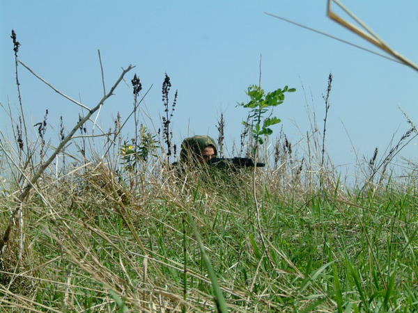 lupo solitario ravalle 1