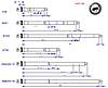 Clicca sull'immagine per ingrandirla

Nome:   barrel-cqb_04.jpg 
Visite: 24 
Dimensione:   102.7 KB 
ID: 301501