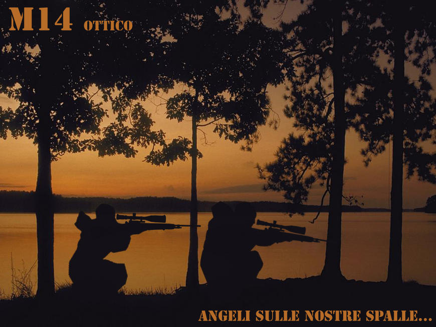 M14 Ottico