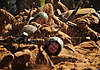Clicca sull'immagine per ingrandirla

Nome:   397656.jpg 
Visite: 22 
Dimensione:   49.7 KB 
ID: 32259