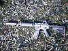 Clicca sull'immagine per ingrandirla

Nome:   DSCN3548.jpg 
Visite: 52 
Dimensione:   102.9 KB 
ID: 32775
