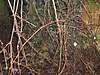 Clicca sull'immagine per ingrandirla

Nome:   S7301988_800x600.jpg 
Visite: 130 
Dimensione:   100.3 KB 
ID: 33381