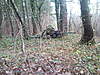 Clicca sull'immagine per ingrandirla

Nome:   SNC00246.jpg 
Visite: 261 
Dimensione:   99.7 KB 
ID: 34295