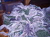 Clicca sull'immagine per ingrandirla

Nome:   DSCN1374..jpg 
Visite: 28 
Dimensione:   203.0 KB 
ID: 37454
