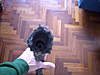 Clicca sull'immagine per ingrandirla

Nome:   DSCN1381..jpg 
Visite: 36 
Dimensione:   97.1 KB 
ID: 37464