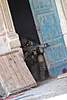 Clicca sull'immagine per ingrandirla

Nome:   24598_1402176731754&.jpg 
Visite: 112 
Dimensione:   51.0 KB 
ID: 37534