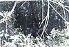 Clicca sull'immagine per ingrandirla

Nome:   ghillie 5.jpg 
Visite: 109 
Dimensione:   106.5 KB 
ID: 3958