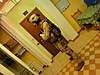 Clicca sull'immagine per ingrandirla

Nome:   31952_1422213002805_1457111365_1062818_3044733_n.jpg 
Visite: 387 
Dimensione:   75.6 KB 
ID: 46635