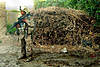 Clicca sull'immagine per ingrandirla

Nome:   5nk5dh.jpg 
Visite: 109 
Dimensione:   122.9 KB 
ID: 48050