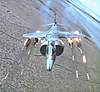 Clicca sull'immagine per ingrandirla

Nome:   harrier_2.jpg 
Visite: 35 
Dimensione:   50.0 KB 
ID: 51054